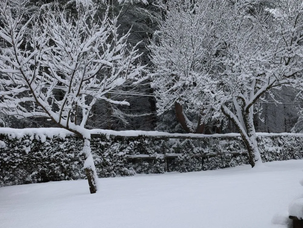 Professional lawn mowing service in Leverett, MA by Water Earth & Flowers