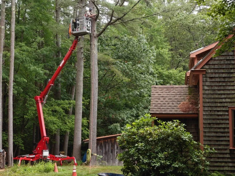 Affordable outdoor landscaping in Leverett, MA - Water Earth & Flowers