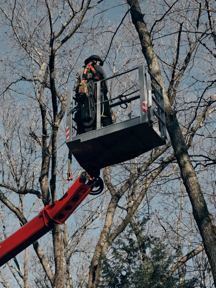 Reliable landscape design in Leverett, MA - Water Earth & Flowers