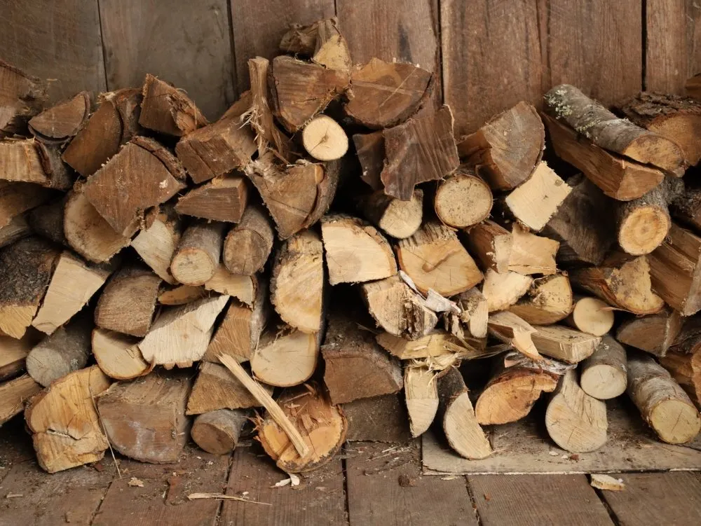 Professional lawn care service experts serving Leverett, MA - Water Earth & Flowers