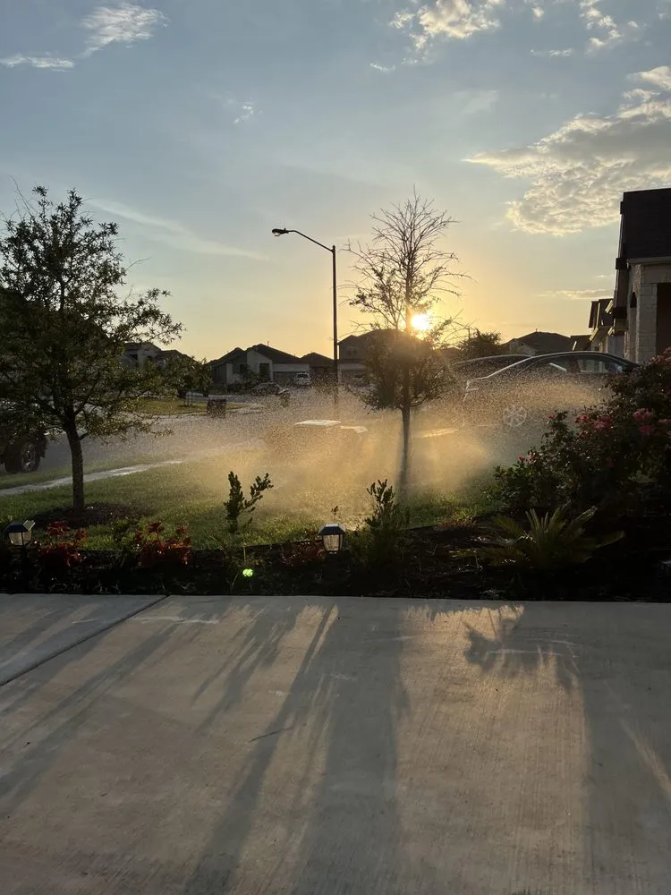Professional garden landscaping in Georgetown, TX by Water Legacy Irrigation And Landscaping