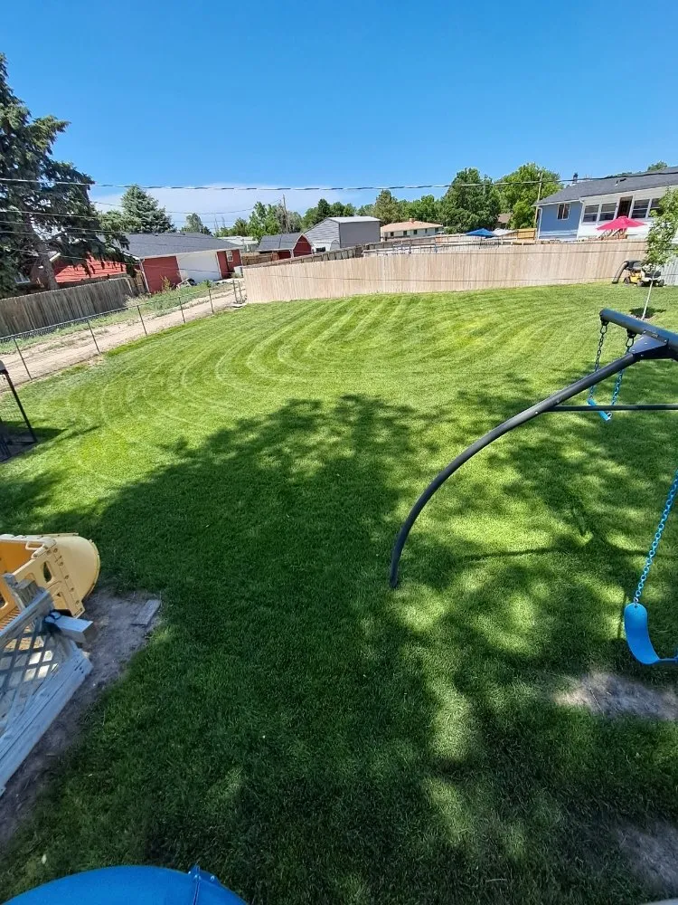 Expert garden landscaping for homes across Mitchell, NE - Water monkey landscaping