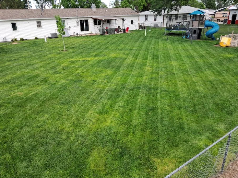 Professional yard cleanup service experts serving Mitchell, NE - Water monkey landscaping