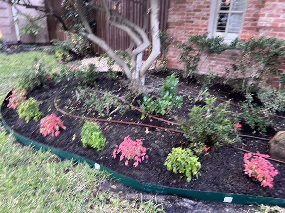 Local landscaping services in McKinney, TX by Water My Grass