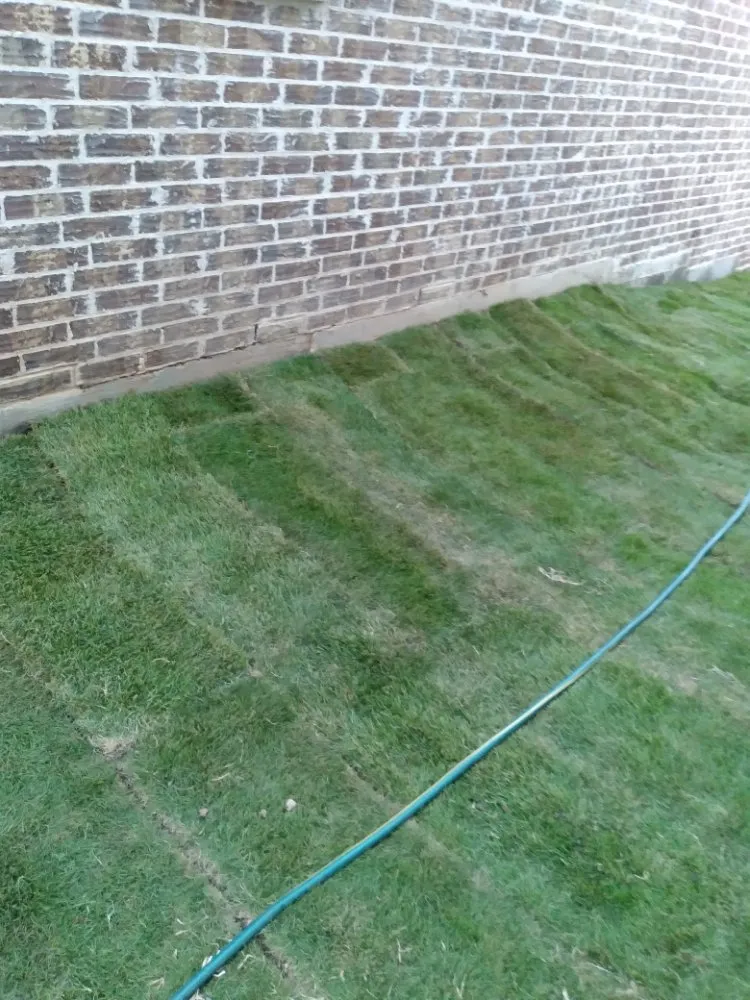 Custom landscaping services for outdoor upgrades in McKinney, TX by Water My Grass
