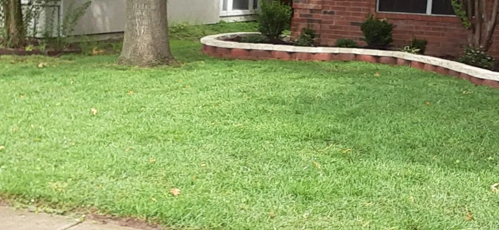 Custom lawn mowing service for outdoor upgrades across McKinney, TX - Water My Grass