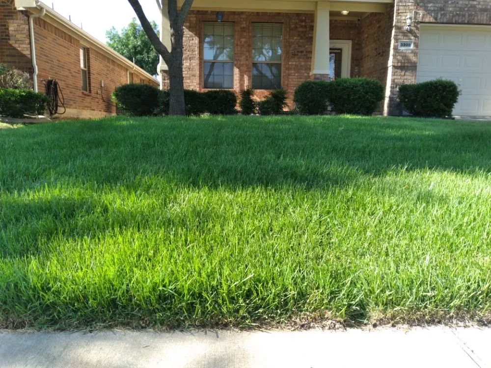 Trusted yard maintenance in McKinney, TX by Water My Grass