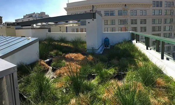 Affordable residential landscaping in Redondo Beach, CA by Water Recycling Systems