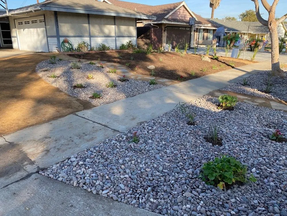 Reliable yard cleanup service for year-round maintenance in Whittier, CA by Water Savers of So Cal