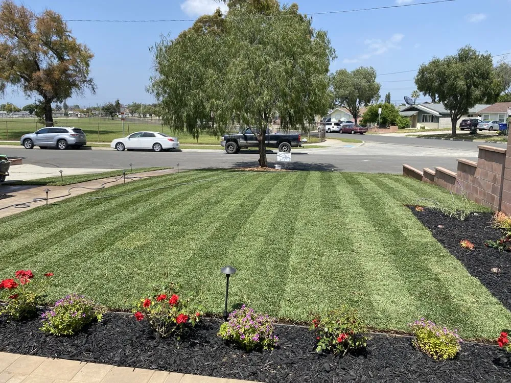 Professional lawn care service experts serving Whittier, CA - Water Savers of So Cal