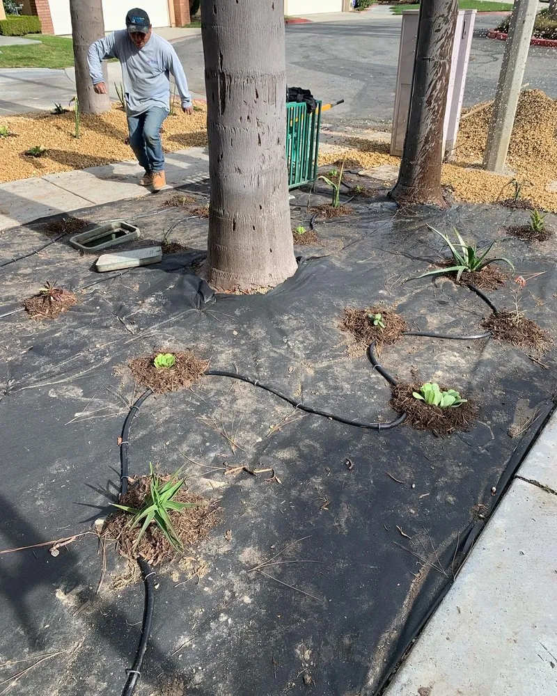 Reliable yard maintenance in Whittier, CA by Water Savers of So Cal