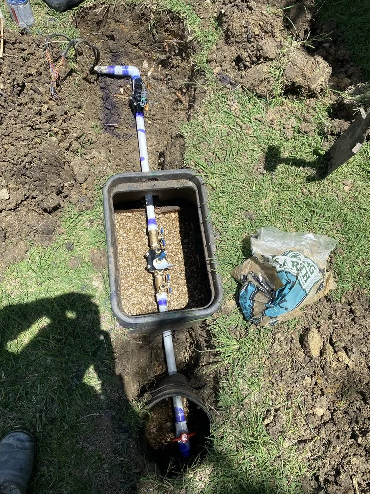 Custom yard maintenance for beautiful yards in Princeton, TX by Water Sharks