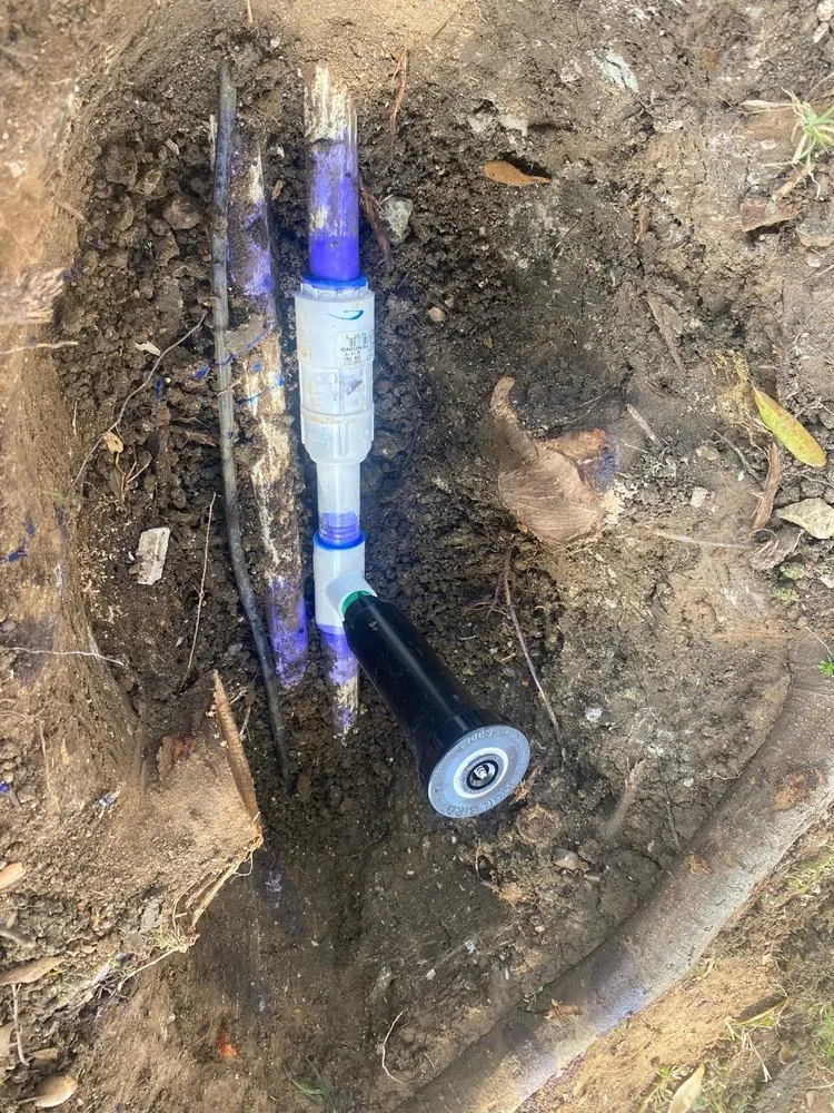 Trusted residential landscaping in Princeton, TX - Water Sharks