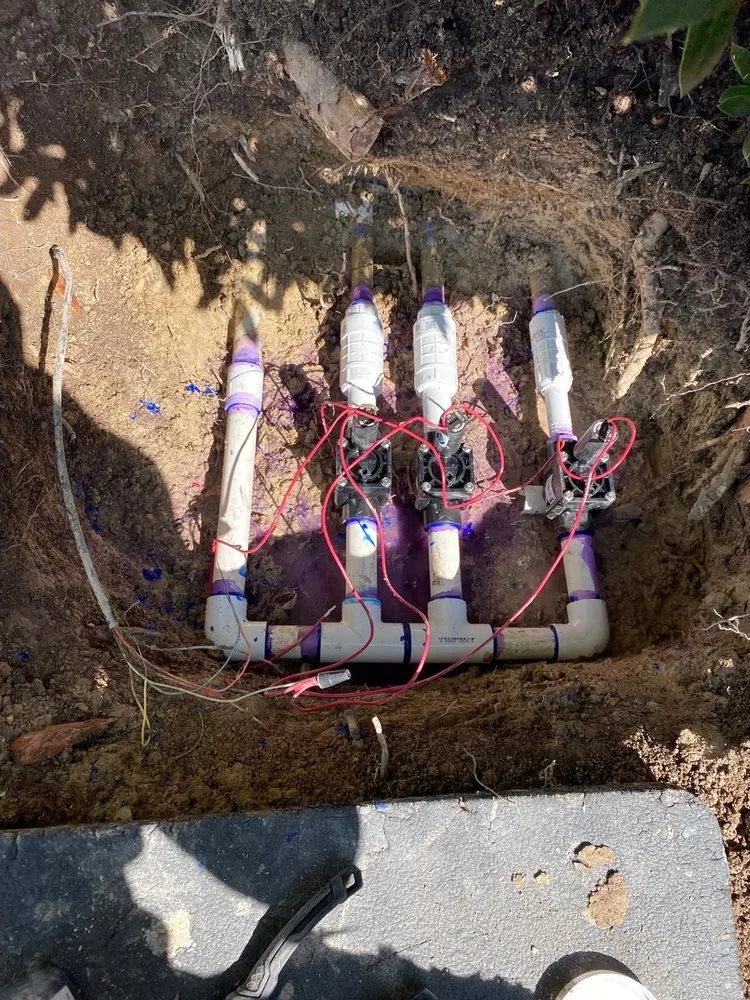 Custom landscaping services for residential properties across Princeton, TX - Water Sharks