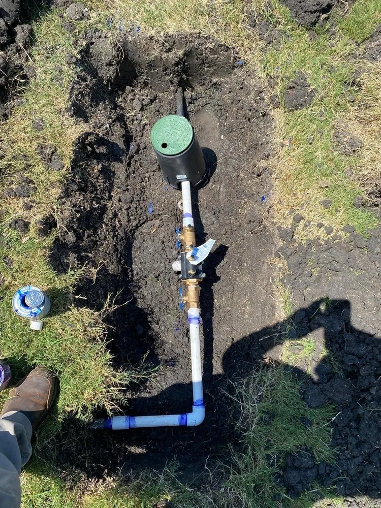 Custom outdoor landscaping in Princeton, TX by Water Sharks