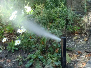 Trusted landscape installation in Parker, CO by Water Solutions Sprinkler Service