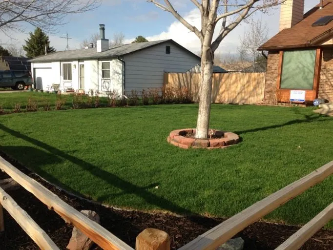 Top-rated yard cleanup service in Parker, CO by Water Solutions Sprinkler Service