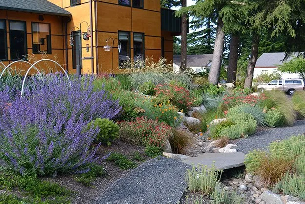 Reliable landscaping services experts serving Pleasant Grove, UT - Water Wise Designs