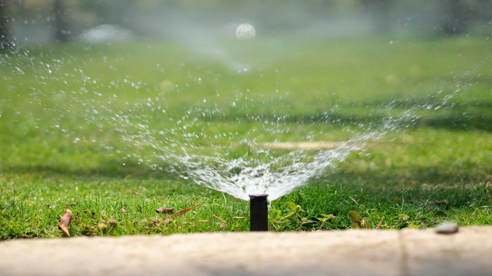 Top-rated yard cleanup service in Jenison, MI - Water Wise Irrigation