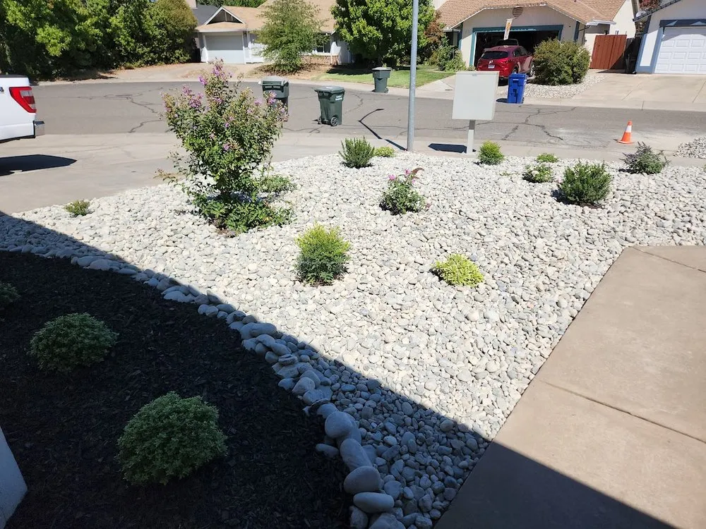 Reliable yard cleanup service with custom design in Arden-Arcade, CA by Water-Wise Landscaping