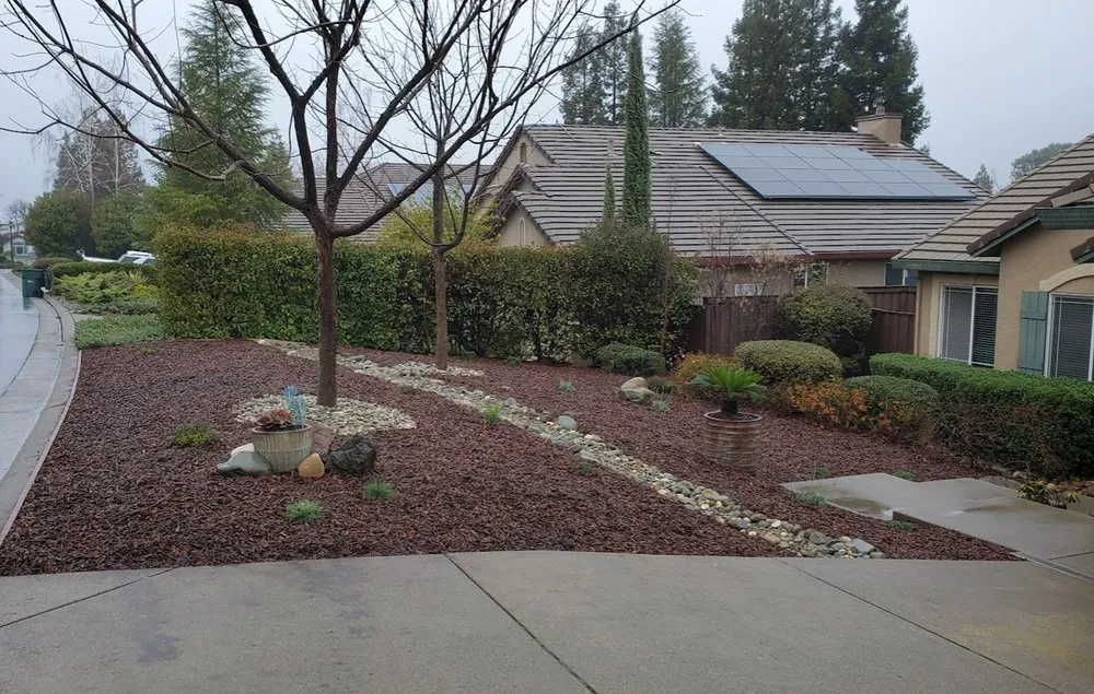 Top-rated landscaping services for year-round maintenance across Arden-Arcade, CA - Water-Wise Landscaping