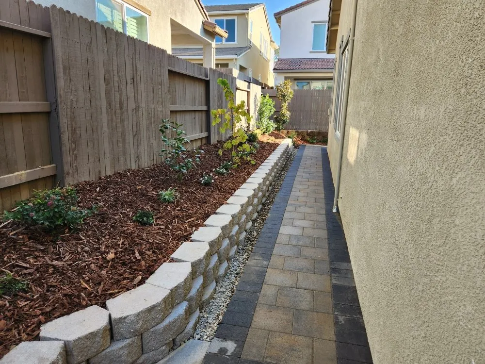 Reliable yard cleanup service in Arden-Arcade, CA - Water-Wise Landscaping