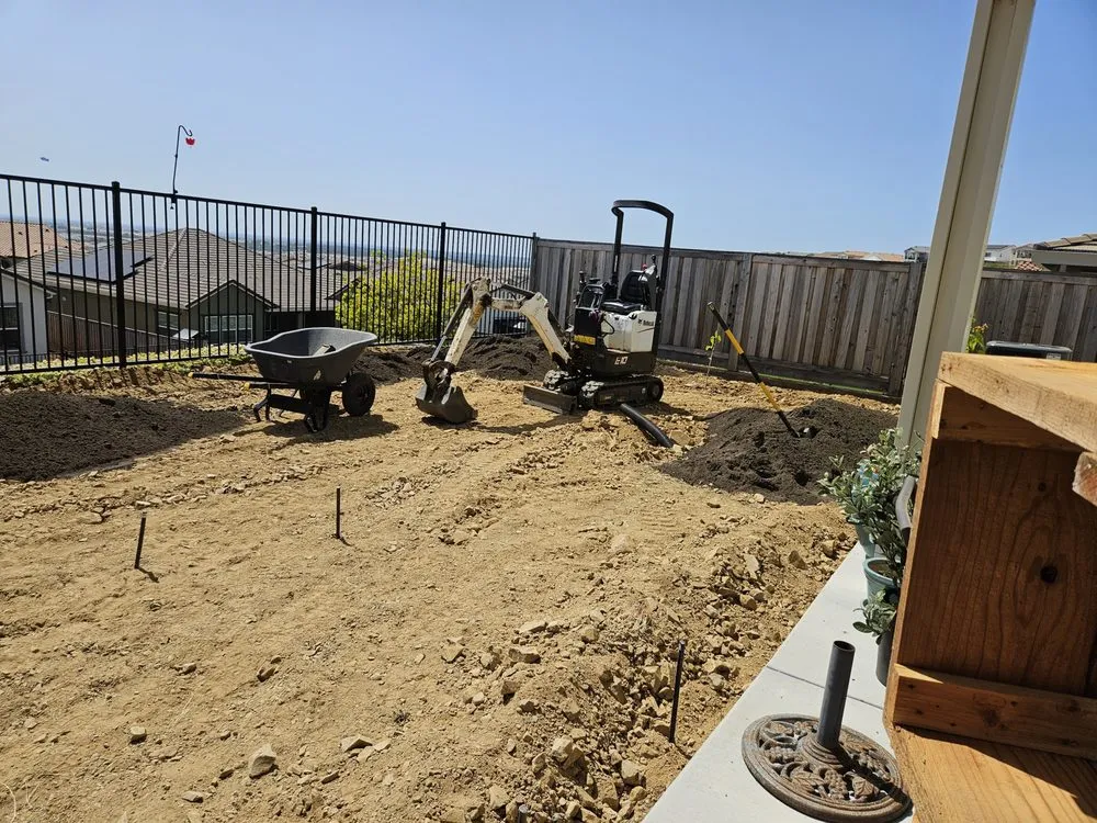 Professional lawn care service for year-round maintenance in Arden-Arcade, CA by Water-Wise Landscaping