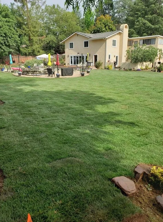 Professional landscape installation experts serving Arden-Arcade, CA - Water-Wise Landscaping