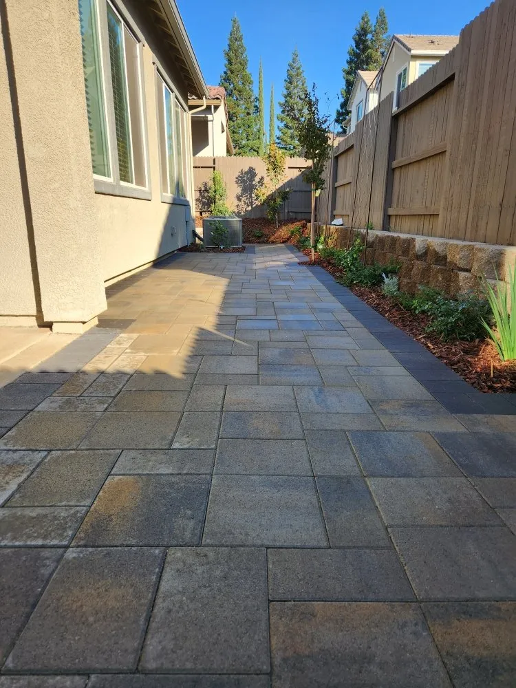 Affordable yard cleanup service experts serving Arden-Arcade, CA - Water-Wise Landscaping