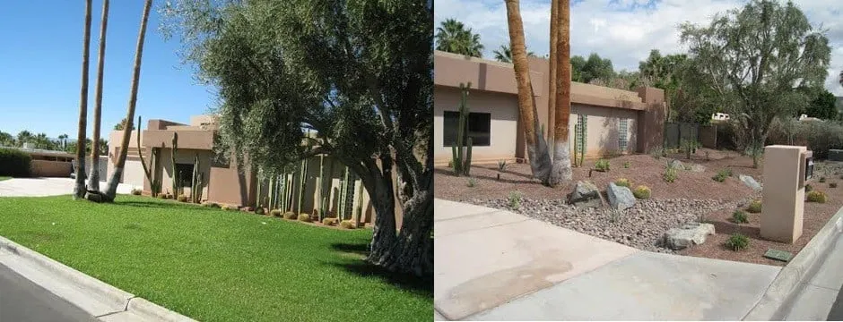 Trusted yard cleanup service in Bermuda Dunes, CA - Water Wise Landscaping