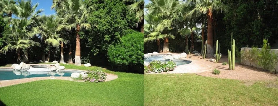 Professional landscaping services near you in Bermuda Dunes, CA by Water Wise Landscaping
