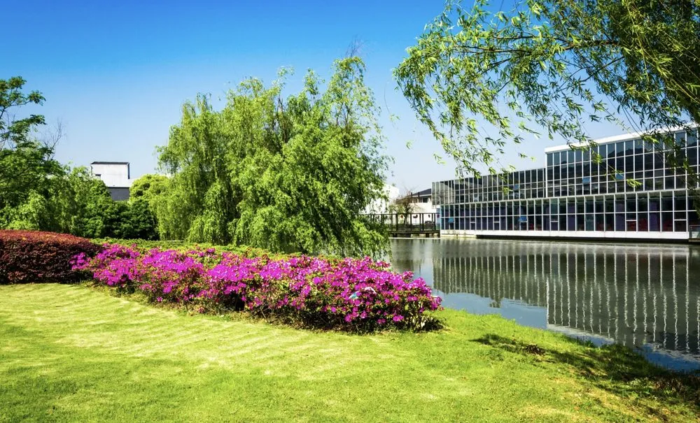 Affordable residential landscaping in Stamford, CT by Water Wise Lawn Solutions