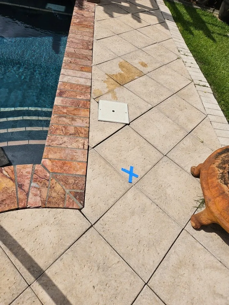 Local yard maintenance in Terrytown, LA by Water Wise Pool Services