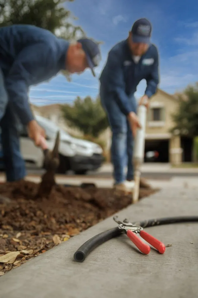 Top-rated yard cleanup service for outdoor upgrades across Queen Creek, AZ - Water Wise Sprinkler Repair