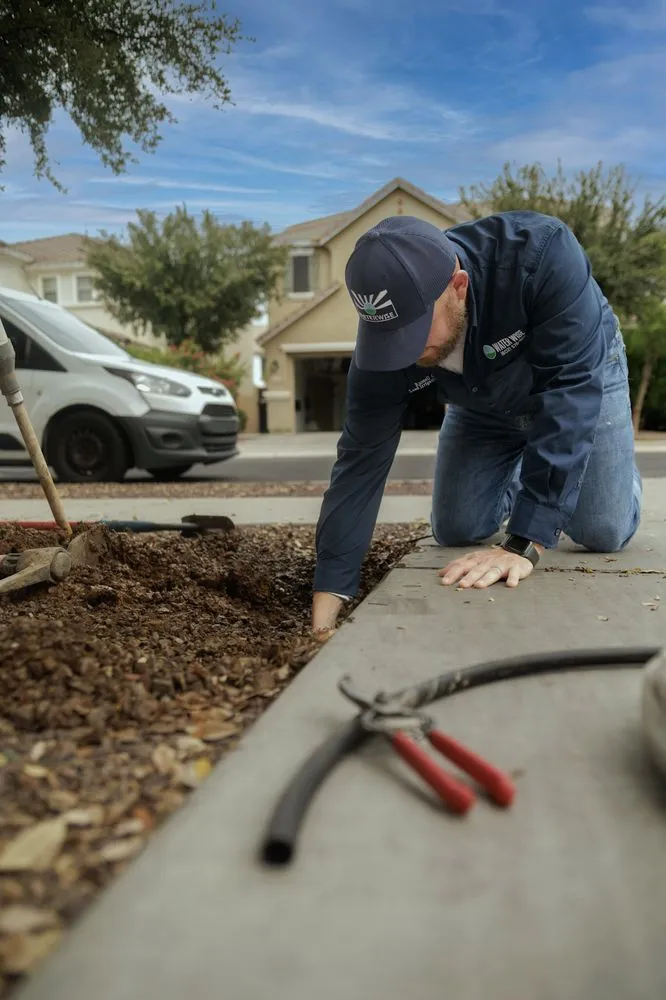 Custom yard maintenance for year-round maintenance across Queen Creek, AZ - Water Wise Sprinkler Repair
