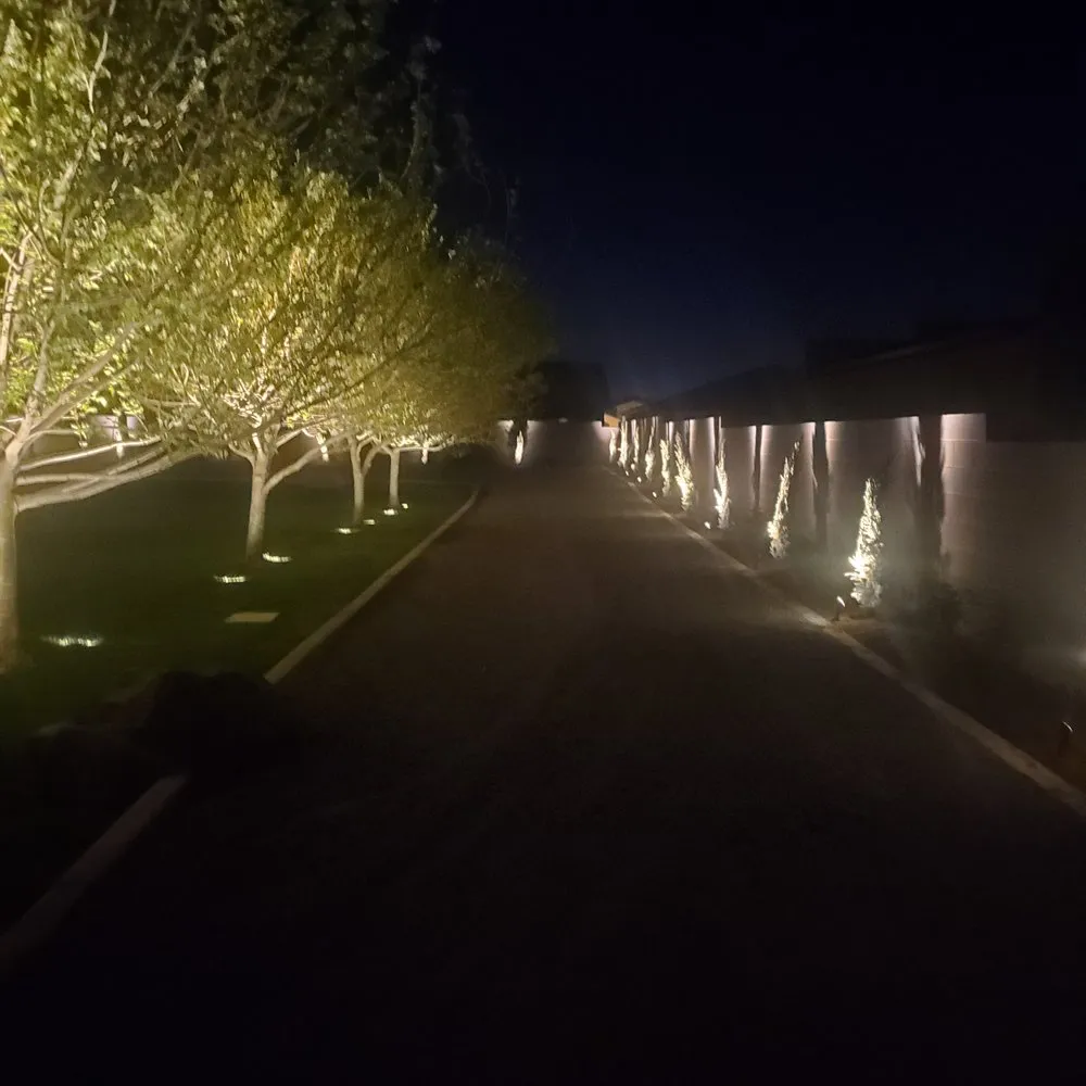 Expert landscape installation for homes in Queen Creek, AZ by Water Wise Sprinkler Repair