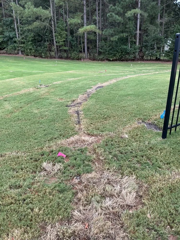 Trusted residential landscaping for year-round maintenance across Wake Forest, NC - Water Works Unlimited