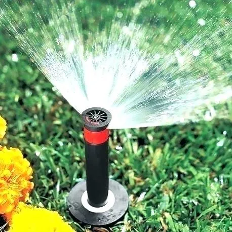 Reliable lawn care service for beautiful yards across Wake Forest, NC - Water Works Unlimited