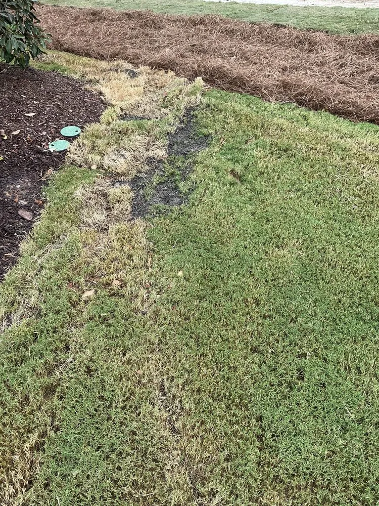 Professional yard maintenance in Wake Forest, NC - Water Works Unlimited