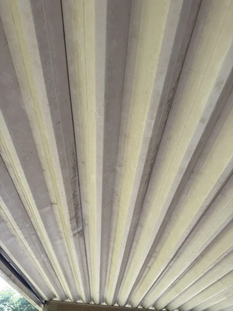 Trusted yard cleanup service experts serving San juan, TX - Water Workz