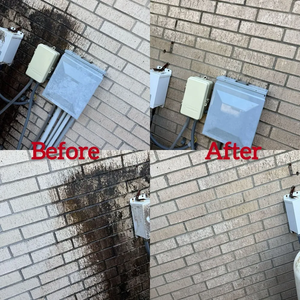 Professional yard cleanup service for outdoor upgrades across San juan, TX - Water Workz