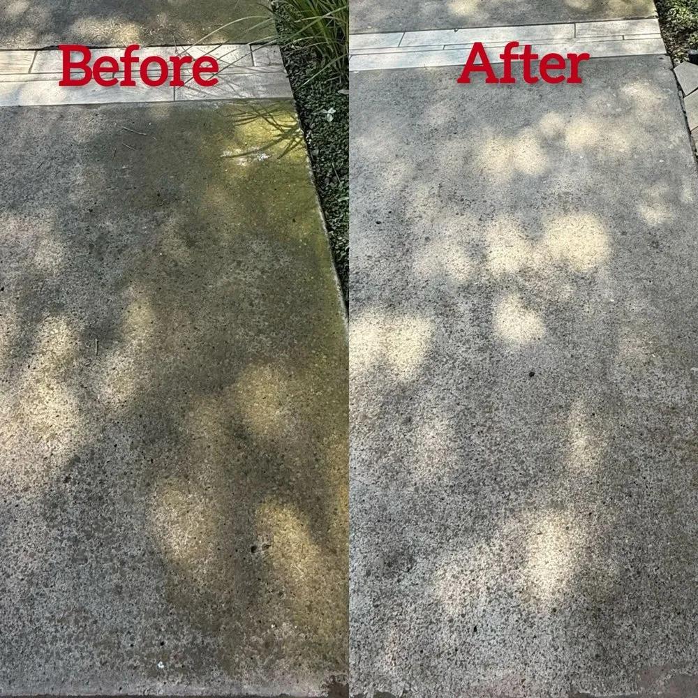 Affordable landscape installation in San juan, TX - Water Workz