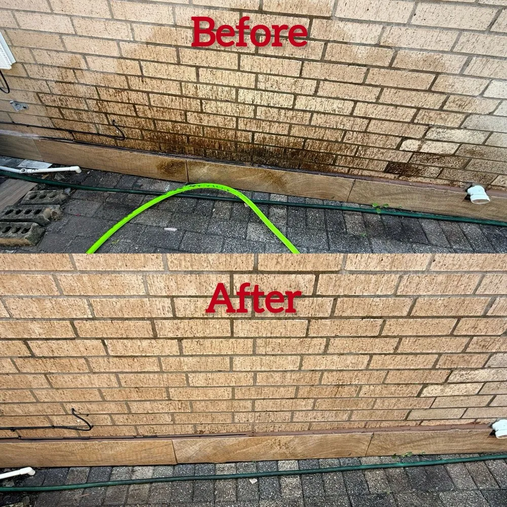 Local lawn care service for residential properties in San juan, TX by Water Workz