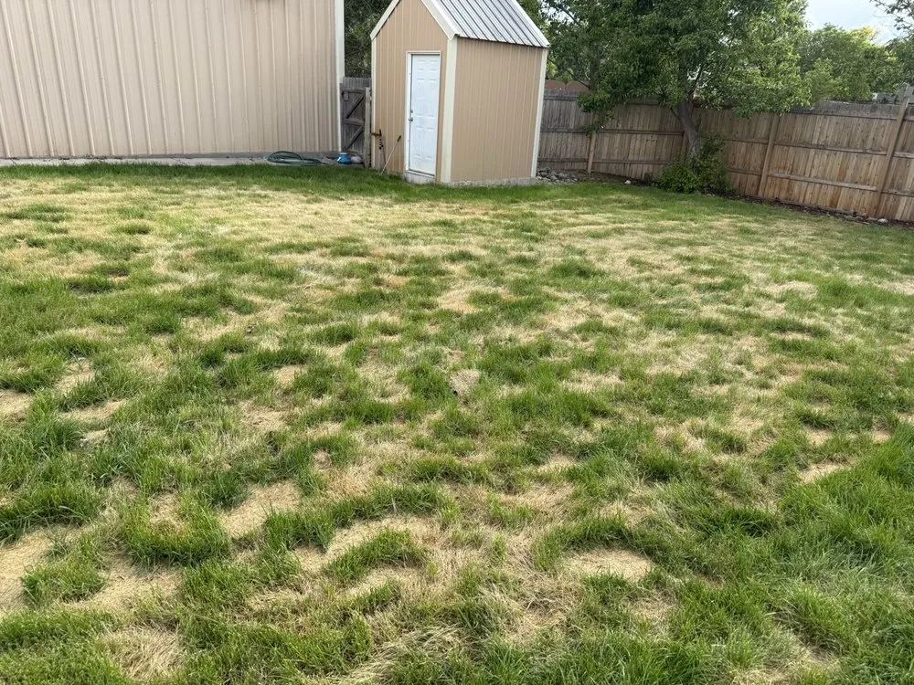 Professional landscape installation experts serving Denver, CO - Waterboi Industry Sprinkler Repair and Maintenance