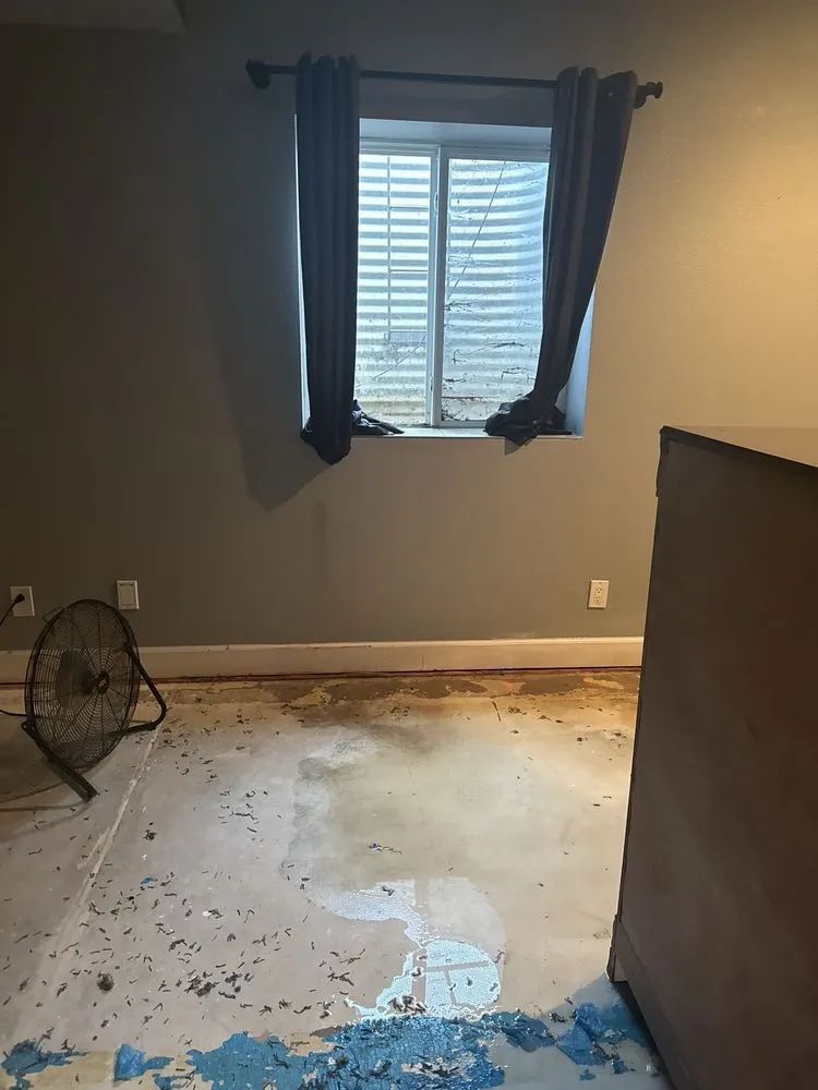 Expert yard maintenance for residential properties in Denver, CO by Waterboi Industry Sprinkler Repair and Maintenance