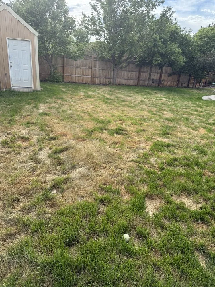 Expert residential landscaping in Denver, CO by Waterboi Industry Sprinkler Repair and Maintenance