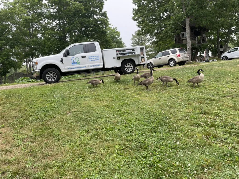 Professional residential landscaping in Kennebunk, ME by Waterboy Irrigation