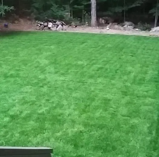 Professional residential landscaping for homes across Kennebunk, ME - Waterboy Irrigation