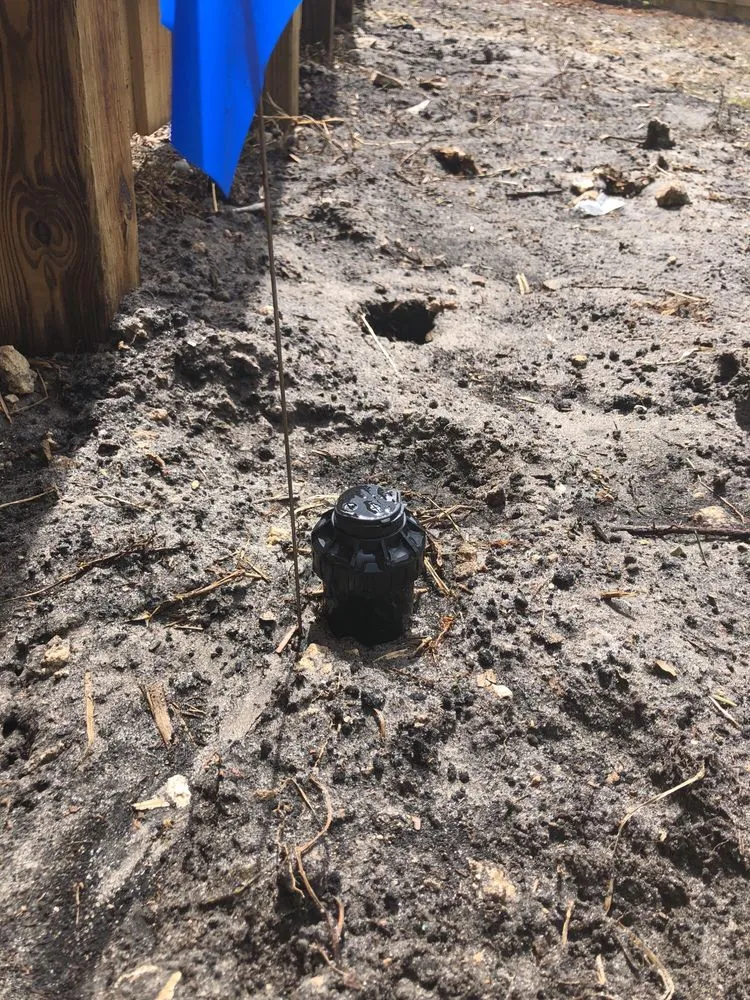 Local landscaping services near you across Davie, FL - Waterboy Sprinkler Pros