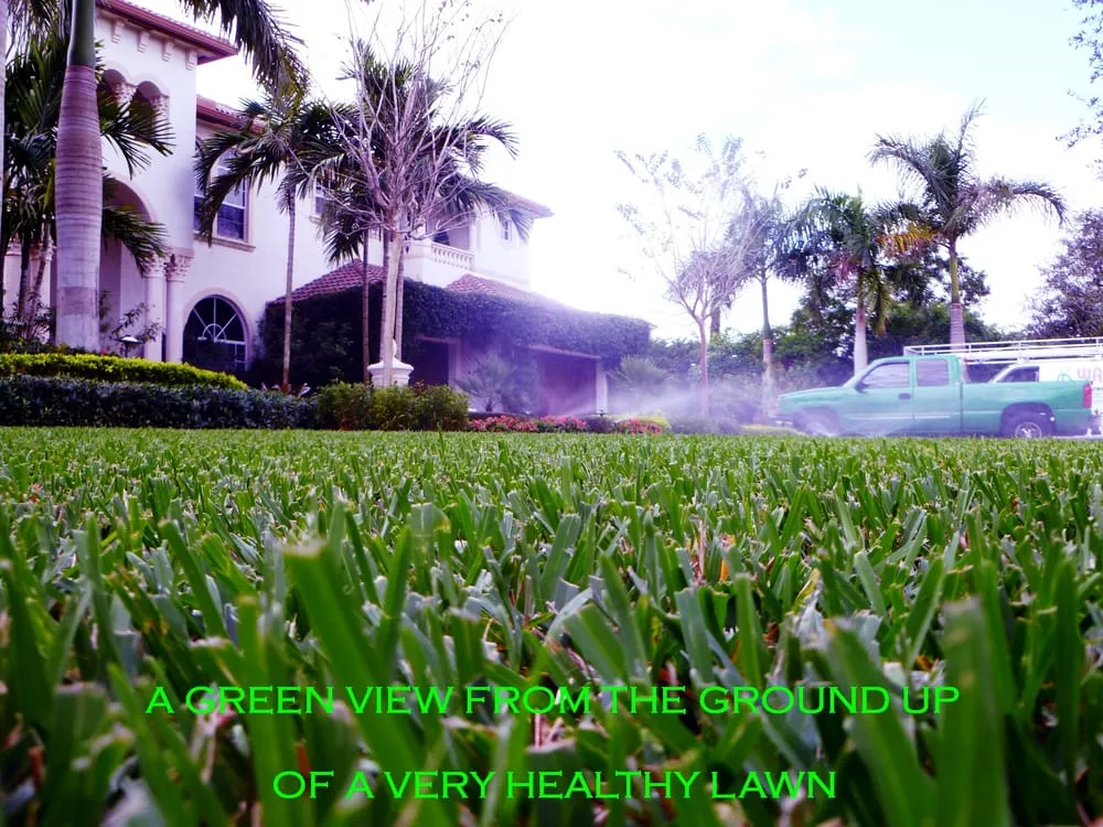 Custom yard maintenance for year-round maintenance across Davie, FL - Waterboy Sprinkler Pros